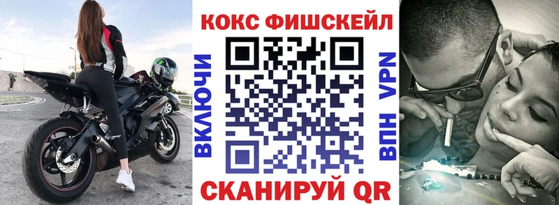 Купить где  Дно  COCAIN Fish Scale 