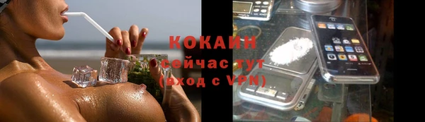 трава Кулебаки