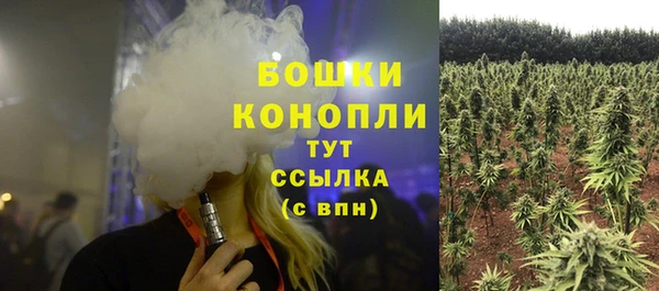 мяу мяу мука Магадан