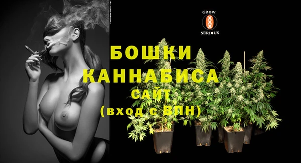 дживик Костерёво
