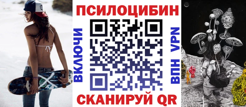 Псилоцибиновые грибы Psilocybe  Купить где  Дно 